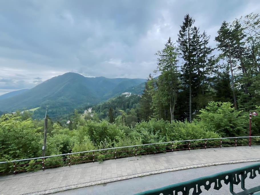 Villa Alexandercharmante Wohnung Mit Bergblick, Villa Alexander เซมเมอริง ภายนอก รูปภาพ