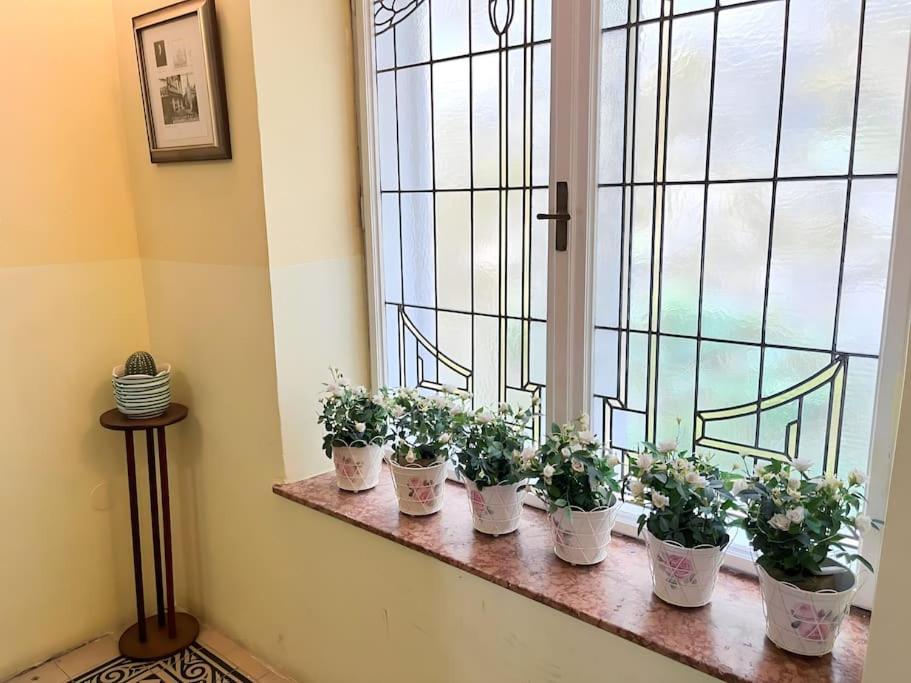Villa Alexandercharmante Wohnung Mit Bergblick, Villa Alexander เซมเมอริง ภายนอก รูปภาพ